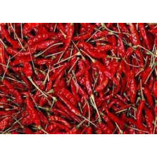 High Quality New Crop Dried Chili for Sale